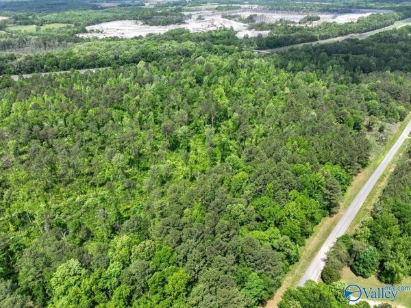 Lot 4 Mill Creek Road, Falkville, AL 35622