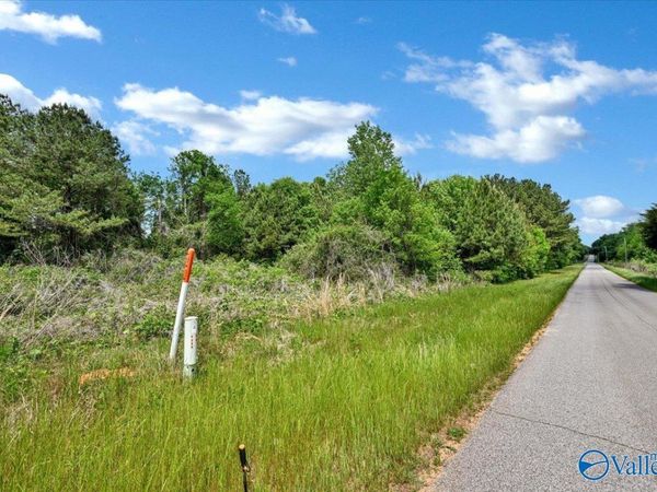 Lot 5 Mill Creek Road, Falkville, AL 35622