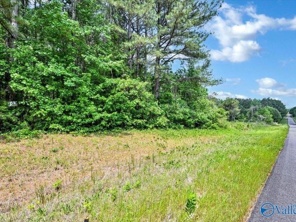 Lot 7 Mill Creek Road, Falkville, AL 35622