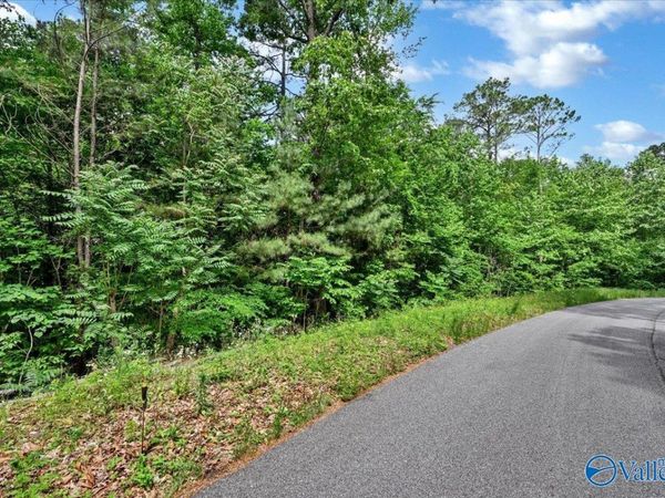 Lot 11 Mill Creek Road, Falkville, AL 35622