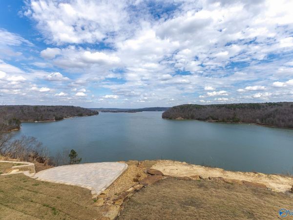 Lot 10 County Road 446, Crane Hill, AL 35053