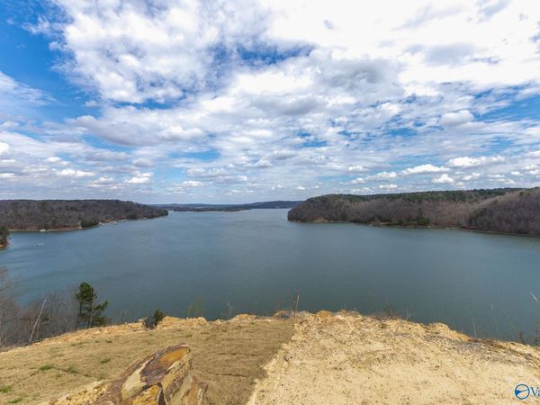 Lot 14 County Road 446, Crane Hill, AL 35053