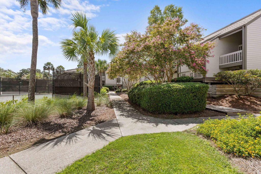 1615 Live Oak Park Photo 24