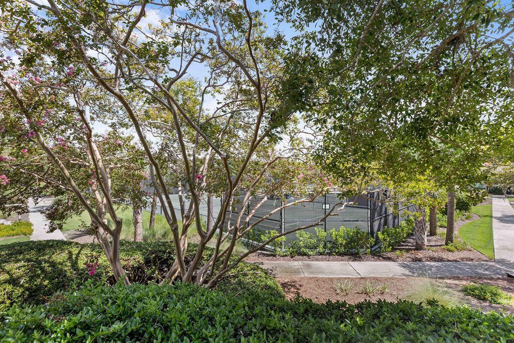 1615 Live Oak Park Photo 5