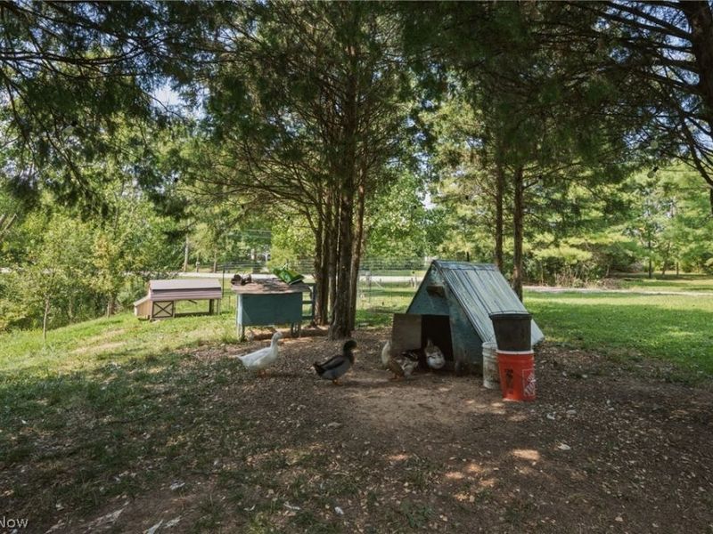1387 Nesbitt Road, Northfield, OH 44067 Photo 32