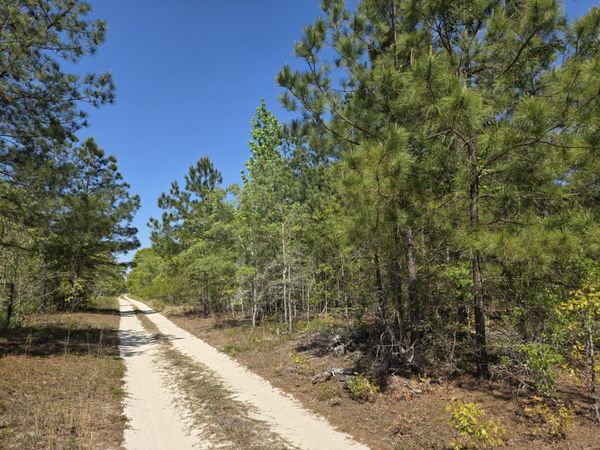 8a Briarwood Drive , Williston, SC 29853