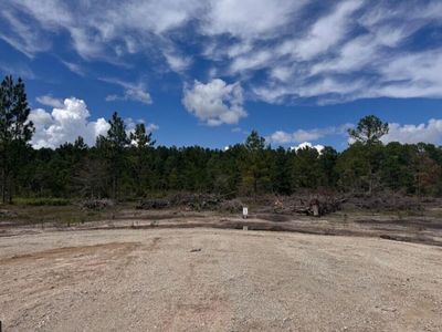 Lot 5 Walker Road, Ridgeville, SC 29472