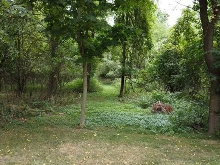 Property Image 40