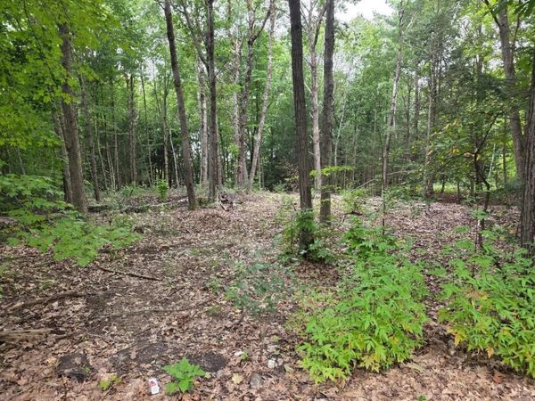 97-LOT Petersham Road, Athol, MA 01331