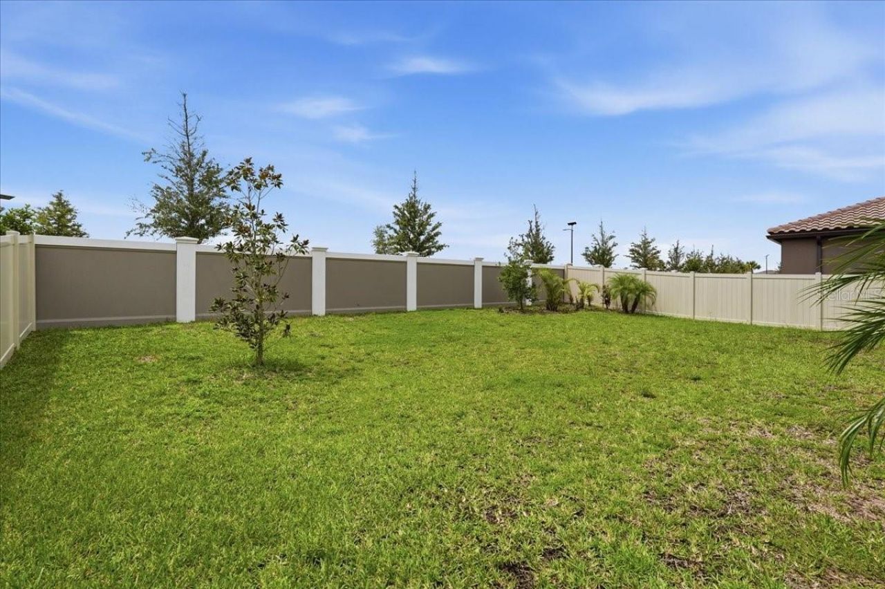 11232 Rustic Timber Loop, San Antonio, FL 33576 Photo