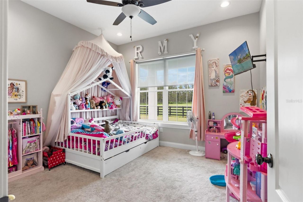 11657 Moore Road, Lakeland, FL 33809 Photo