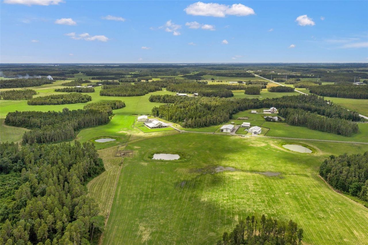 11657 Moore Road, Lakeland, FL 33809 Photo