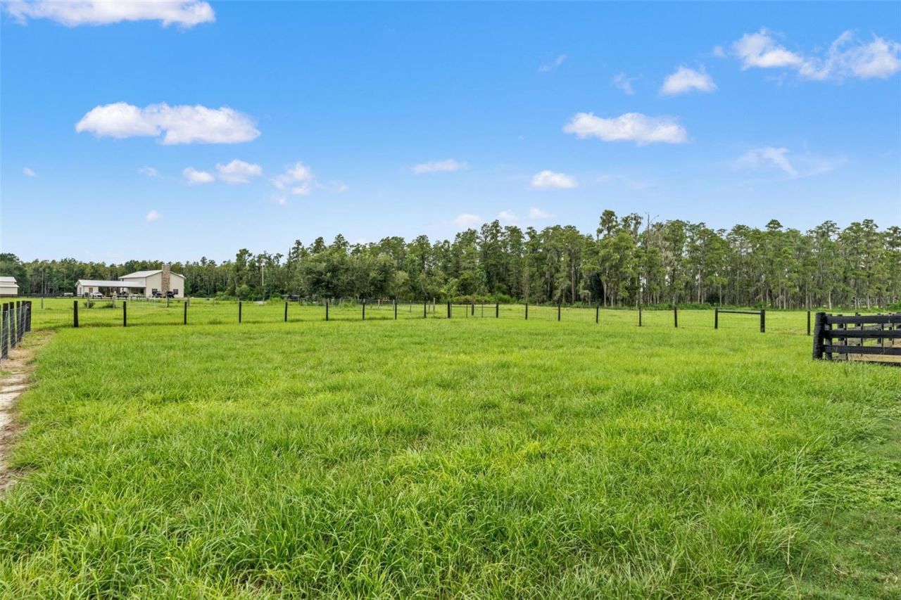11657 Moore Road, Lakeland, FL 33809 Photo