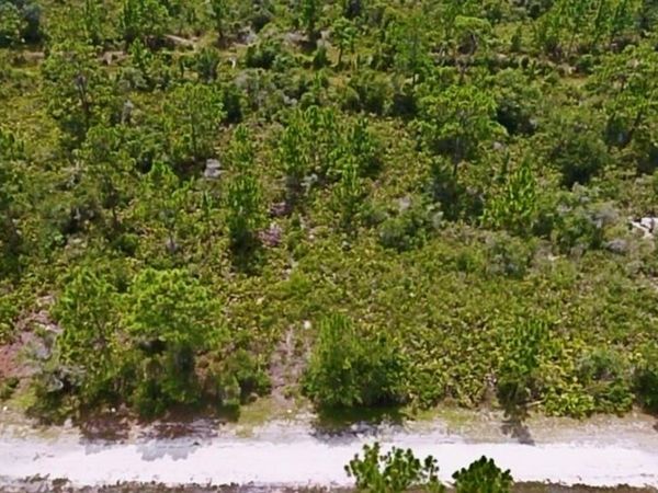 GRANADA DRIVE , INDIAN LAKE ESTATES, FL 33855