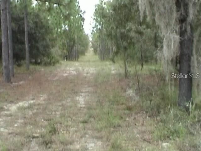 6000 W Cedar Hill Street, Dunnellon, FL 34433 Photo