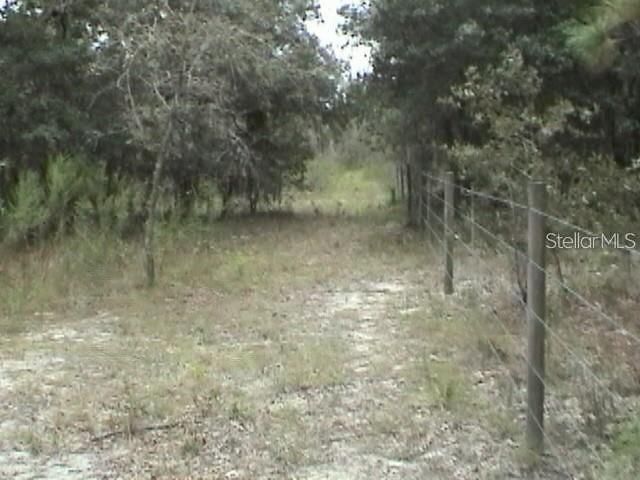 6000 W Cedar Hill Street, Dunnellon, FL 34433 Photo