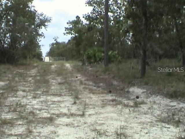 6000 W Cedar Hill Street, Dunnellon, FL 34433 Photo