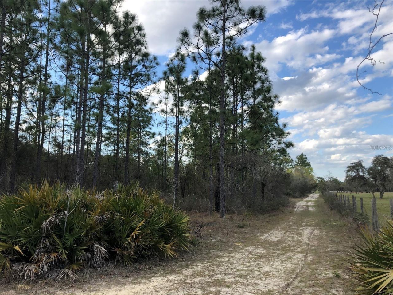 6000 W Cedar Hill Street, Dunnellon, FL 34433 Photo