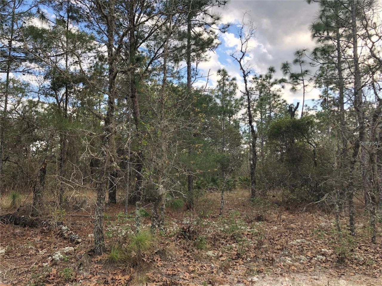 6000 W Cedar Hill Street, Dunnellon, FL 34433 Photo