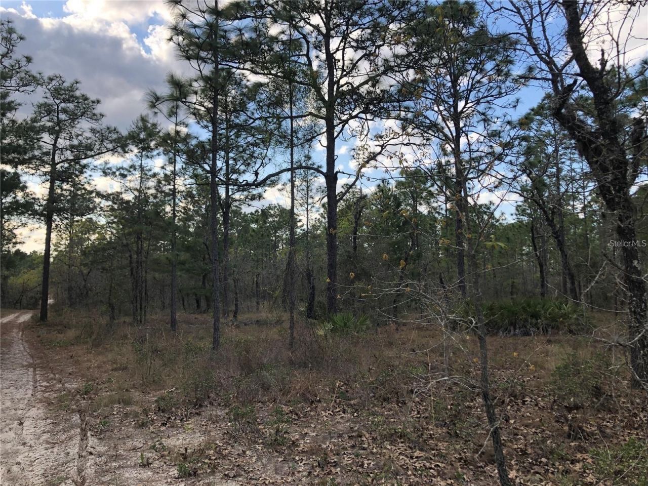 6000 W Cedar Hill Street, Dunnellon, FL 34433 Photo