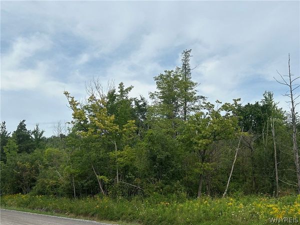 0 Tinkham Road , Attica, NY 14011