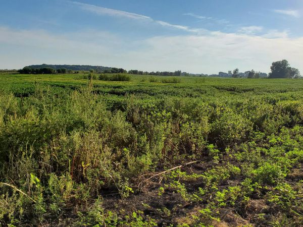 000 N County Road 200 W, Rensselaer, IN 47978