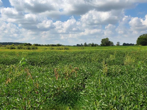 000 N County Road 200 W, Rensselaer, IN 47978