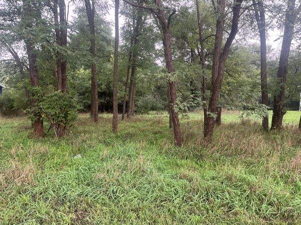 Brooklyn Road, Jackson, MI 49201