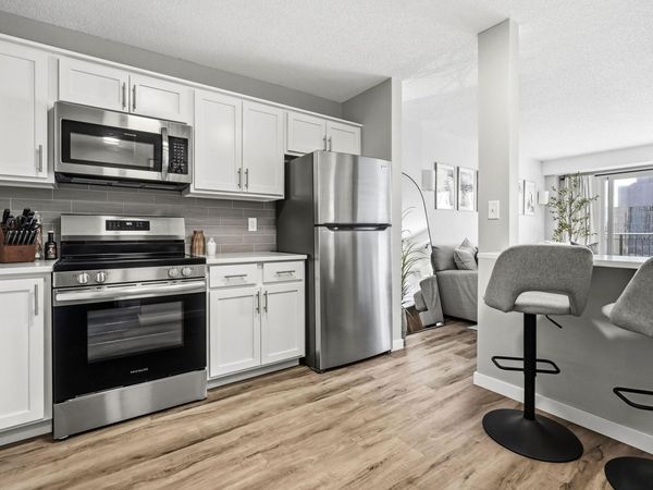 121 Washington Avenue S, Unit 1705, Minneapolis, MN 55401