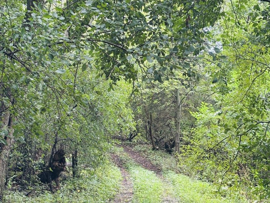 Main Photo
