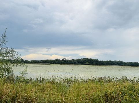Main Photo