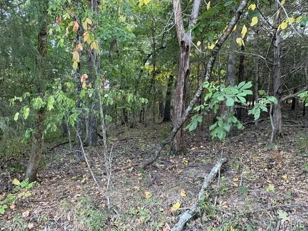 5205 Tree Crest Drive , Hillsboro, MO 63050