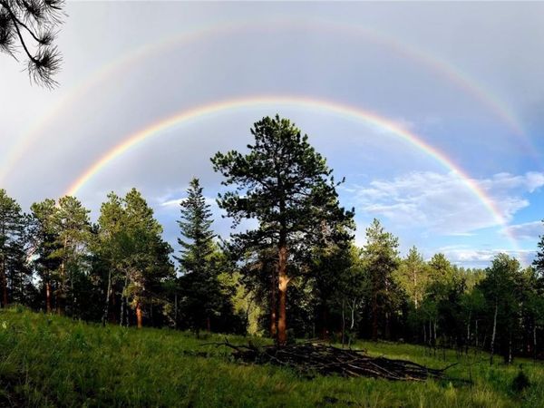 00 S Elk Creek Road , Pine, CO 80470