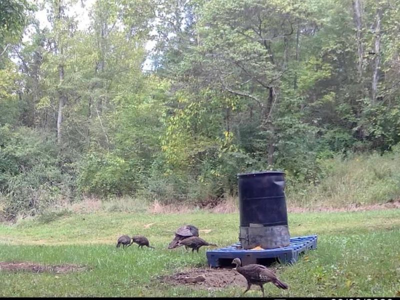 0 Gratis Jacksonburg Road, Gratis Township, OH 45311 Photo 19