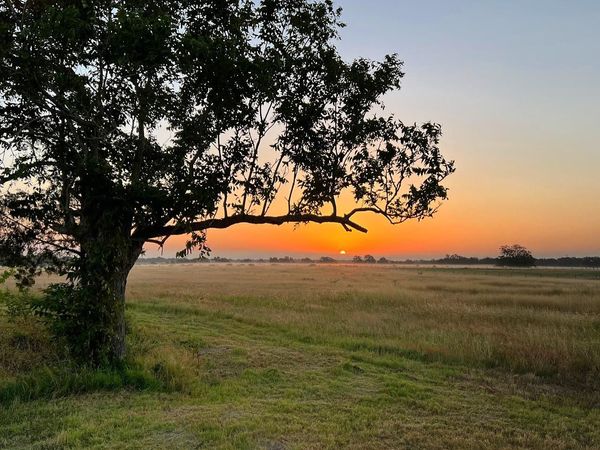 7194 Goehring Rd RD, Ledbetter, TX 78946