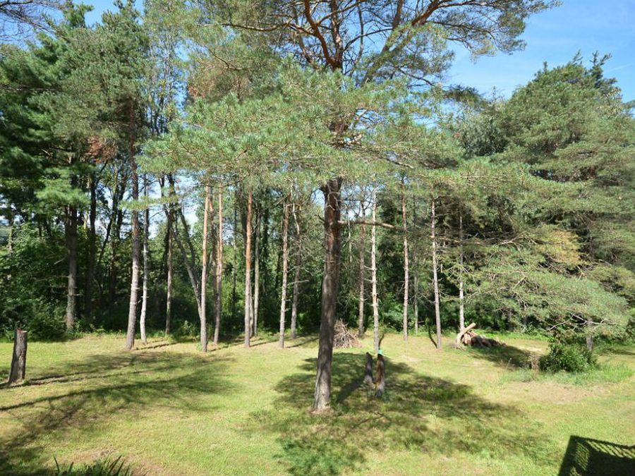 Property Image 57