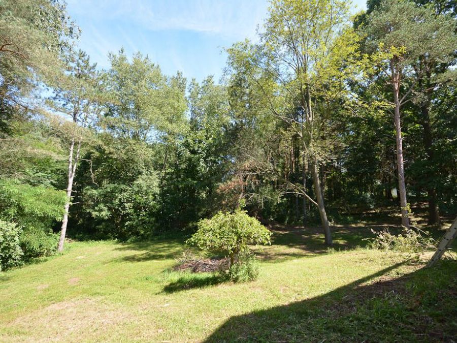 Property Image 58