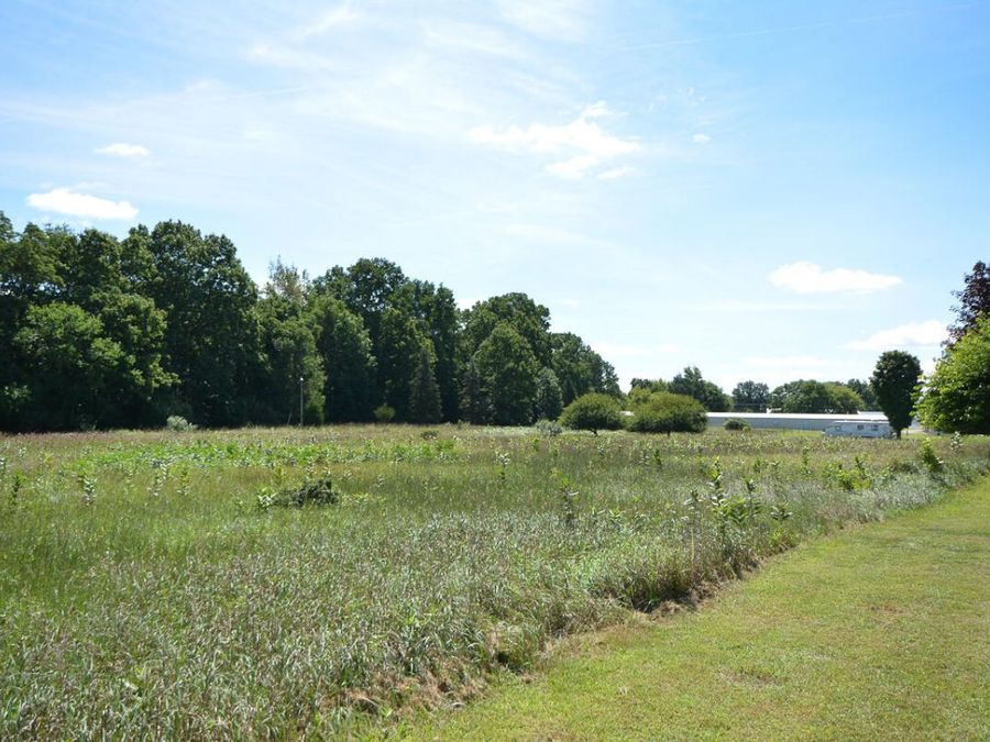 Property Image 69