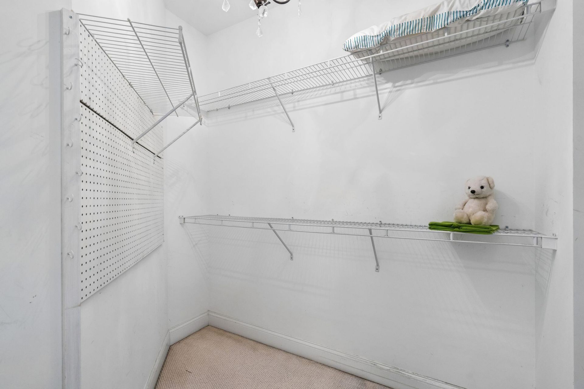 2384 Darts Cove Way Photo 49
