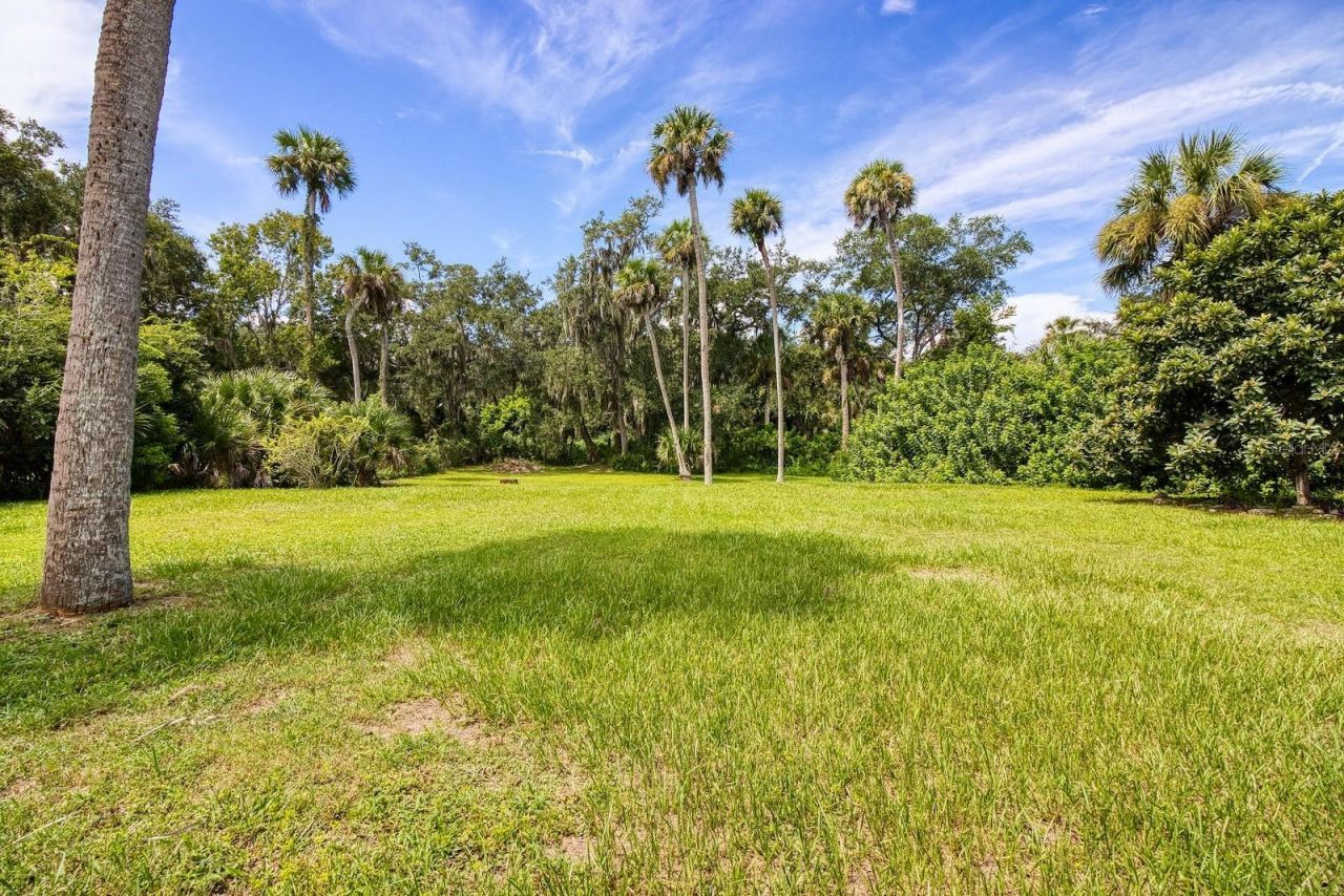 628 N Duss Street, New Smyrna Beach, FL 32168 Photo