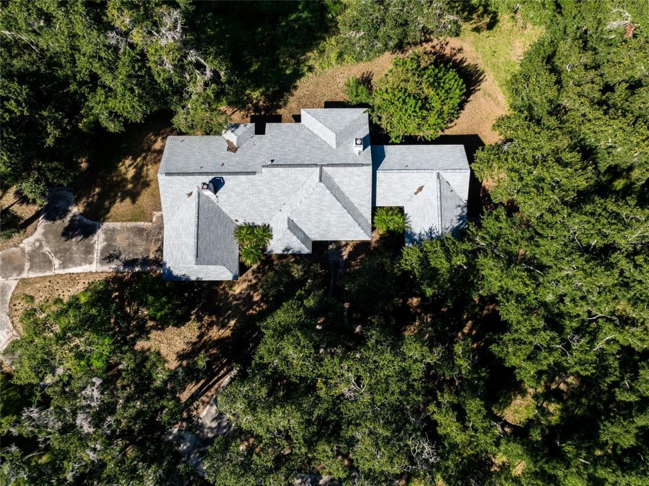 5135 Collier Parkway, Land O Lakes, FL 34639 Photo