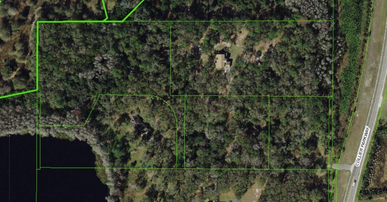5135 Collier Parkway, Land O Lakes, FL 34639 Photo