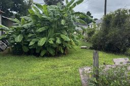 2157 Easton Street photo 4