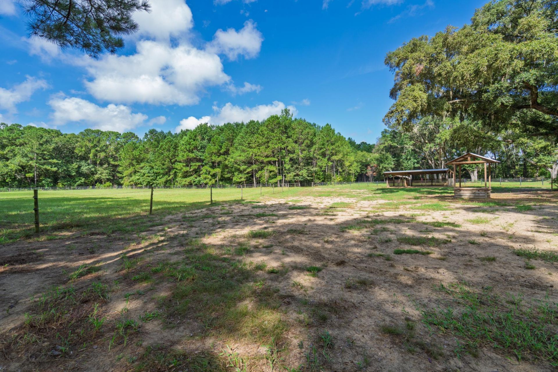 7836 Louis Berry Lane Photo 47