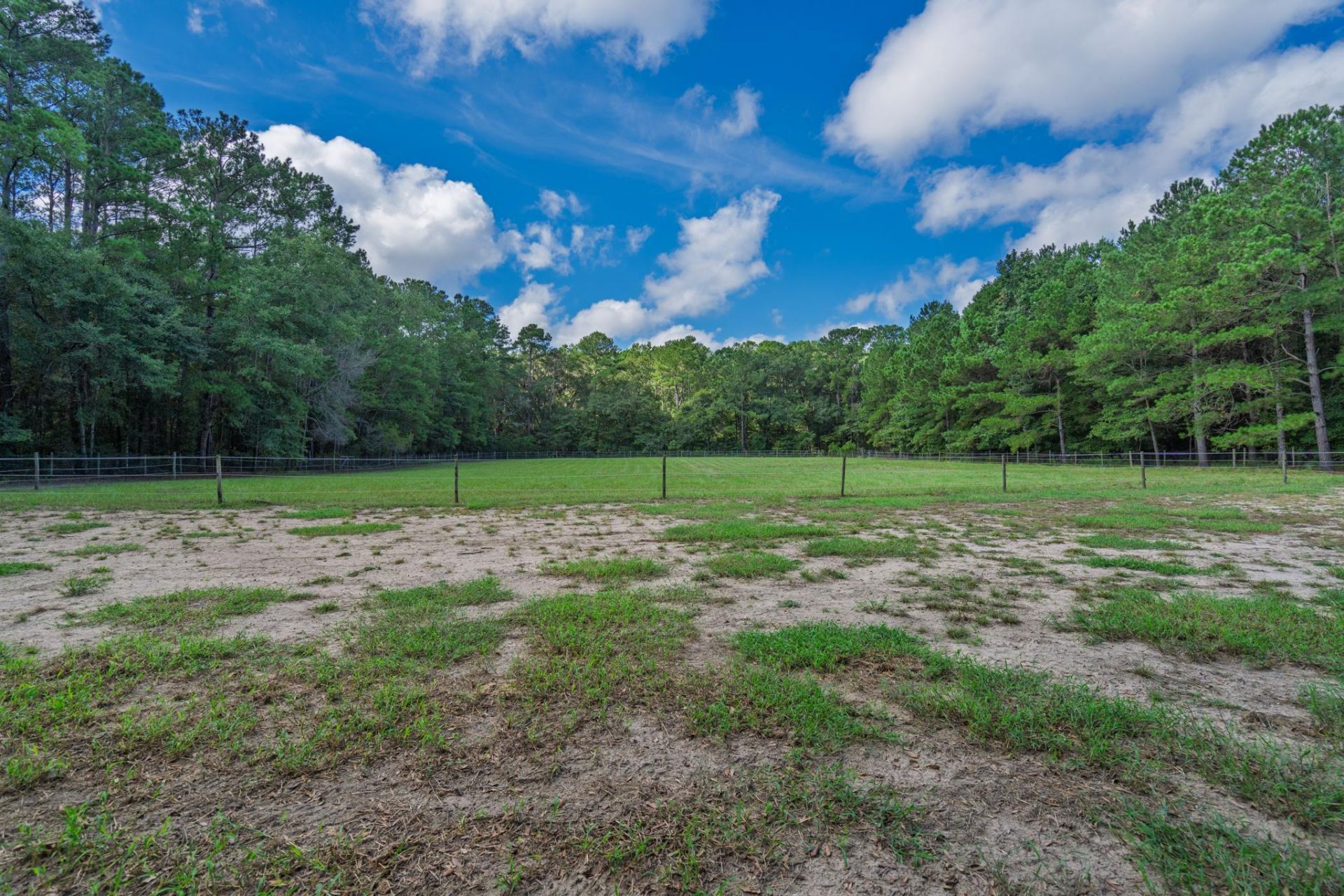 7836 Louis Berry Lane Photo 49