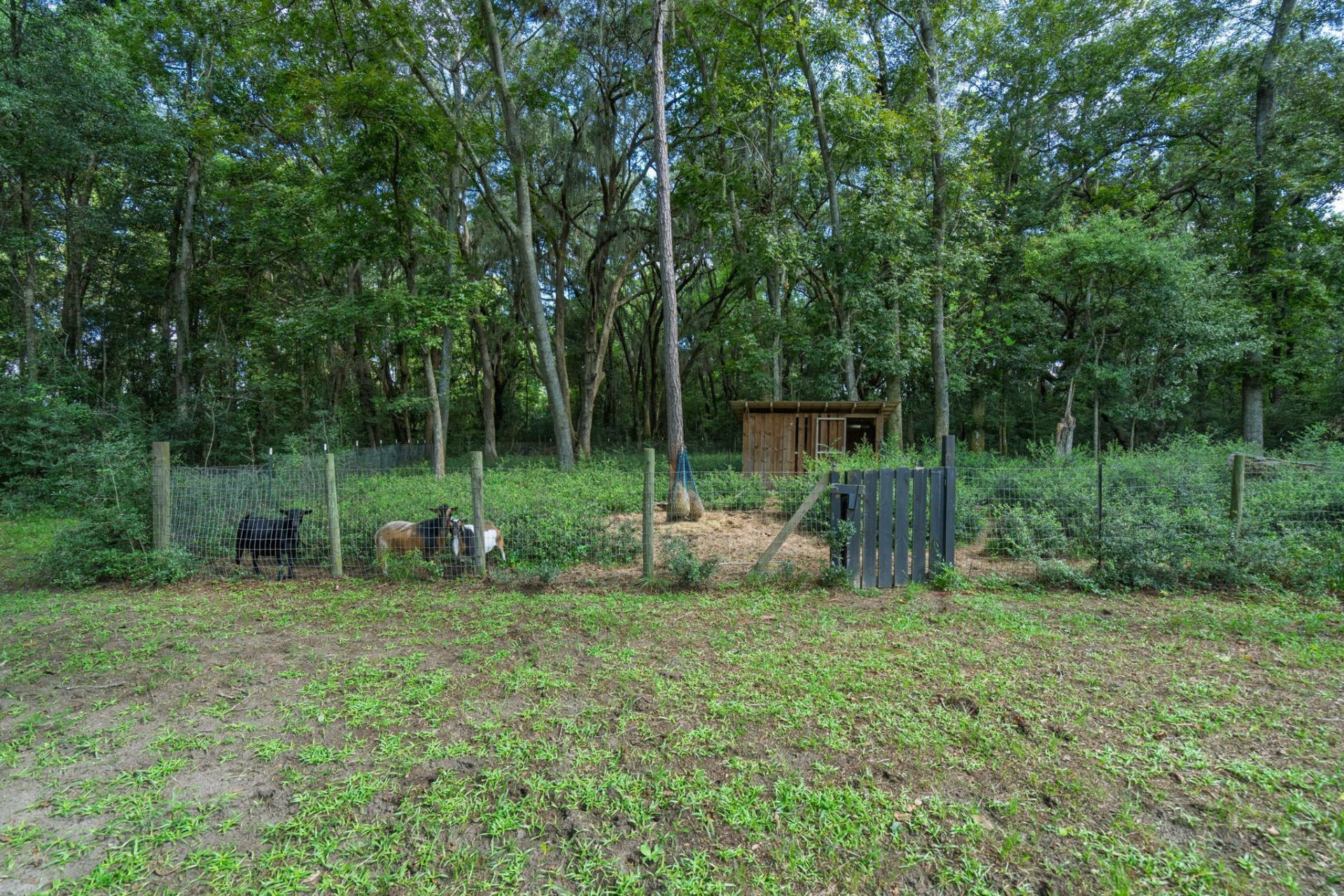 7836 Louis Berry Lane Photo 52