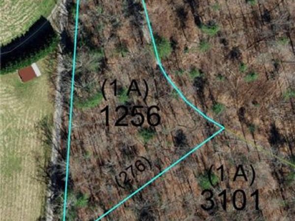1653 Walshtown Road , Boomer, NC 28606