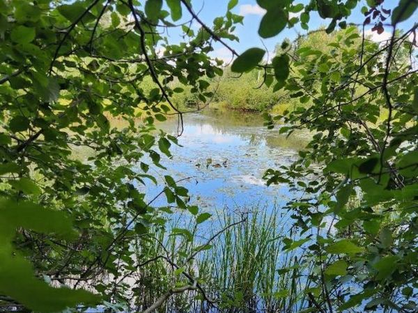 On PENINSULA DRIVE, Unit Lots 6 + 7, Phillips, WI 54555