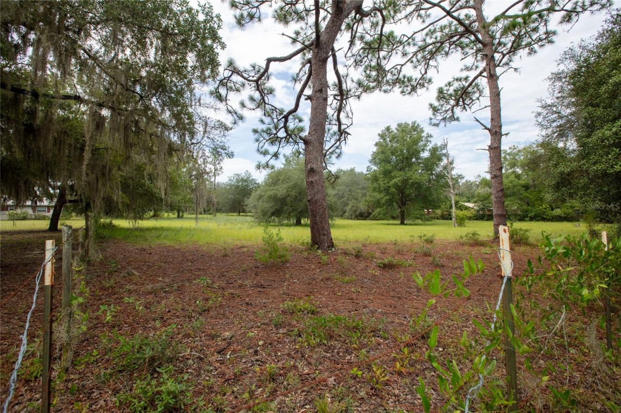 6323 Payne Road , Keystone Heights, FL 32656 Photo