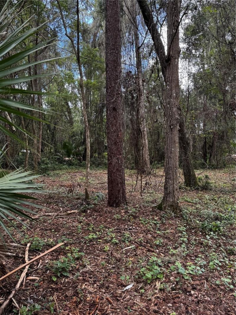 1423 Lemon Street , Deland, FL 32720 Photo